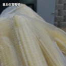 홈사리 | 강원 화천에서 자연과 힐링을 동시에! 홈사리캠핑장 솔직 방문기 🌿🏕️