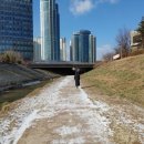 짬뽕의기적 이미지