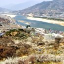 매화농원 이미지