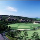 에버리스CC 이미지