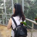 경주버드파크 이미지