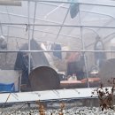 시골살이 집으로 이미지