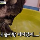 테리구옥 이미지