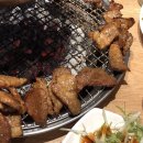 꼬기9.2 네이버블로그