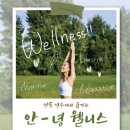 채우다 서울일보