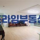 으뜸반려견유치원 이미지