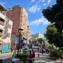 루나 카페 이미지