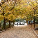 희망대공원길 이미지