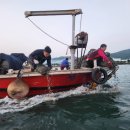 5940 노컷뉴스