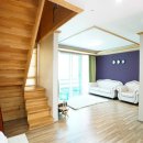 로얄트리 이미지