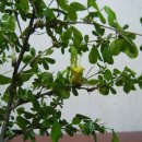 산하농장 이미지