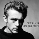 비베호디에 이미지