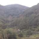 고향마을 - 수원시 권선구 일월천로10번길 2 | 고향마을