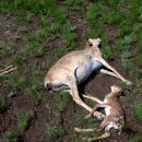 심석초등학교 이미지