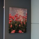 고운학리 이미지