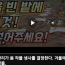 여주.원주,이천,양평,광주,안성등 인근지역 분들 계분(퇴비) 이미지