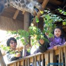 서울대공원노동조합 이미지