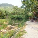 수원-0619 이미지