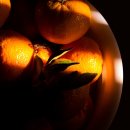 큰나무농장 이미지