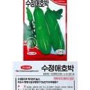 미미네텃밭 이미지