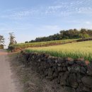 be my isle 이미지