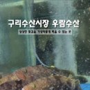 우람수산 - 구리시 동구릉로136번길 90 | 우람수산