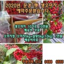 문경몰 이미지