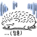테라테하우스