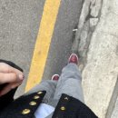 아라약품 | 여름 쿨톤 애쉬브라운 압구정로데오 헤어샵 아라알레스