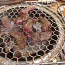 늘푸른목장 이미지