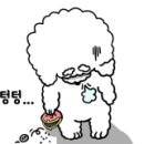 HC모터스
