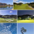 대원투어 이미지