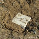 태산가로등 네이버블로그