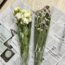 계절의꽃 - 리시안셔스 , 스타치스 싱싱한 꽃배달