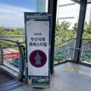 연호소프트 | 과도한 락 놀이 : 부산락페스티벌 25년 ver. 후기