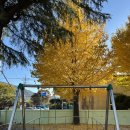 청아민박 이미지