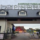 안성(서울) | 안성팜랜드 후기-서울에서 1시간 거리, 가족과 즐긴 핑크뮬리·승마체험 나들이