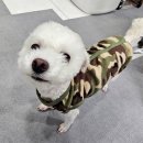 콩이네일 이미지