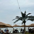 라메르 갯벌 | 가을 주말 맞이! 강아지 동반 가능한 대부도 투투새우와 카페라메르