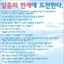 콩깍지 이미지