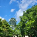 호암미술관 이미지