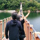 호수공원8 호수소풍숲, 푸른들판 사이 | “파주 마장호수공원 나들이 – 국내 최장 흔들다리와 탁 트인 호수뷰로 즐기는 특별한 하루”