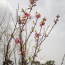 가좌공원 이미지