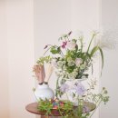 연보라(주) 이미지