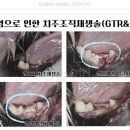 금호동물병원 이미지