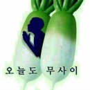 통통커피 - 강남구 역삼로26길 3 | 통통커피
