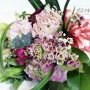 수정유치원 이미지