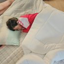 상주유자랜드 이미지