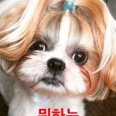 정신