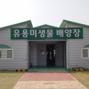 배양장